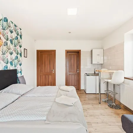 Apartment Zupanovice-1 By Interhome *
